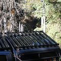 Prinsu 3rd Gen Tacoma TOPRAC 5' Bed Roof Rack (Short Bed) (2016+)